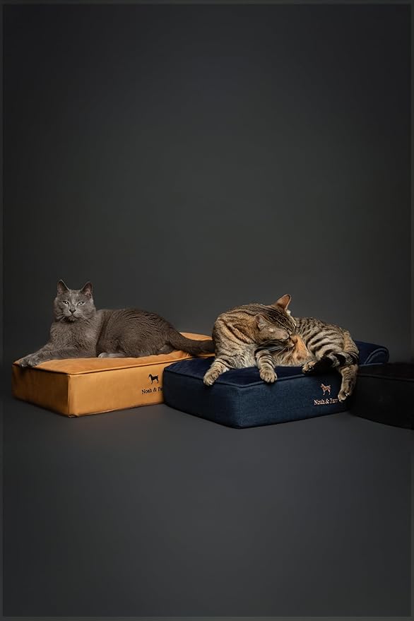 NOAH & PAW Small Dog Bed, 20x15x6.5 Inch, Cat Bed for Indoor Cats, Orthopedic Eggshell Memory Foam Infused with Cooling Gel, Water Resistant, Machine Washable, Includes Inner Cover (Denim Collection)