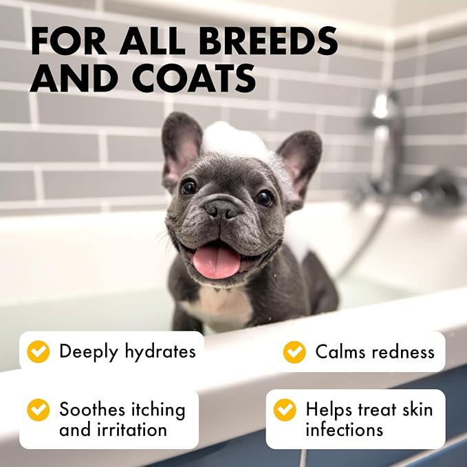 LEGITPET Oatmeal Dog Shampoo & Conditioner Itch & Allergy Relief with Honey & Aloe Hypoallergenic Gentle Calming Formula for Sensitive Skin & Dandruff Safe for Puppies Best for All Breeds 2 x 16oz