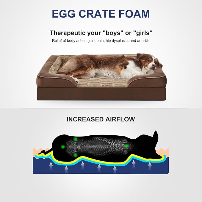 FURTIME Orthopedic Small Dog Bed, Waterproof Dog Beds, 28x23x6.5 Supportive Foam Pet Couch Bed with Removable Washable Cover and Nonskid Bottom
