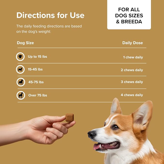 Pupstrong™+ Hip & Joint Support Soft Chews for Dogs – Powered by Polycan® Postbiotic – Supports Gut Health, Mobility, Joint Flexibility, Immune Health & Healthy Aging – 120 Chews