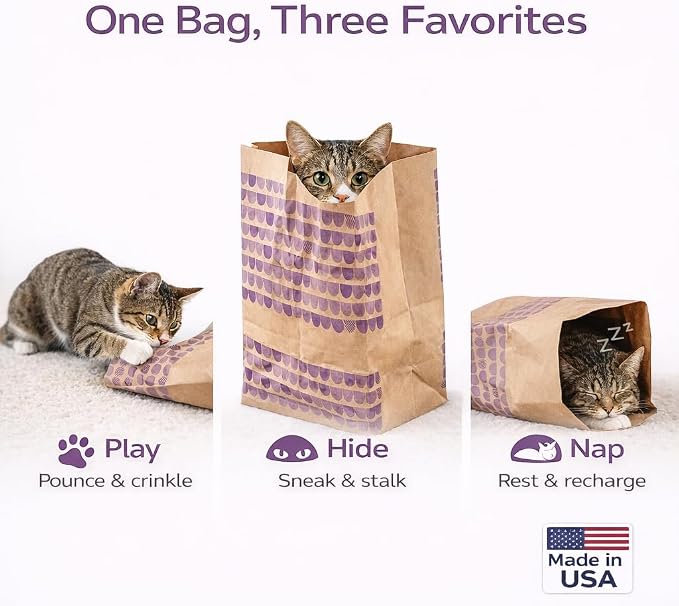 Catnip Infused Crinkly Paper Bag Cat Toys - All Natural & Recycled Materials - Made in USA - Interactive Hide and Seek for Indoor Cats and Kittens - (1-Bag, Catnip)