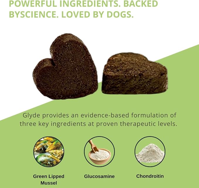 Glyde Hip & Joint Supplement for Senior Dogs, Mobility Support, 120 Chews | Green Lipped Mussel, Glucosamine and Chondroitin help support healthy cartilage, joints and mobility in senior dogs