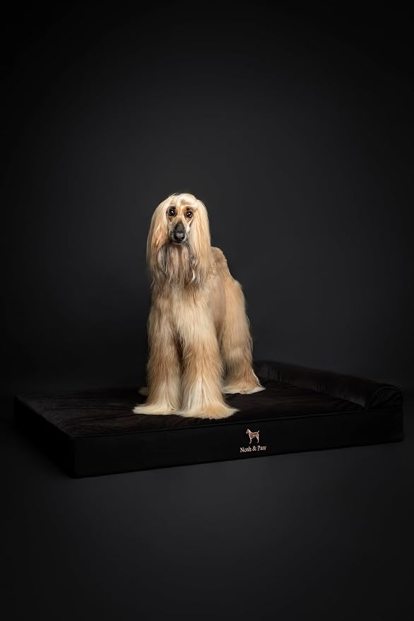NOAH & PAW Giant Dog Bed XXL 55x45x9.5 Inch, Orthopedic Dog Beds, Eggshell Memory Foam Infused with Cooling Gel, Water Resistant, Machine Washable, Includes Inner Cover (Denim Collection)