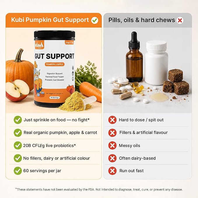 Pumpkin Gut Support for Dogs – Digestive Health Supplement with Natural Fiber & Probiotics, 60 Servings | Kubi Pets