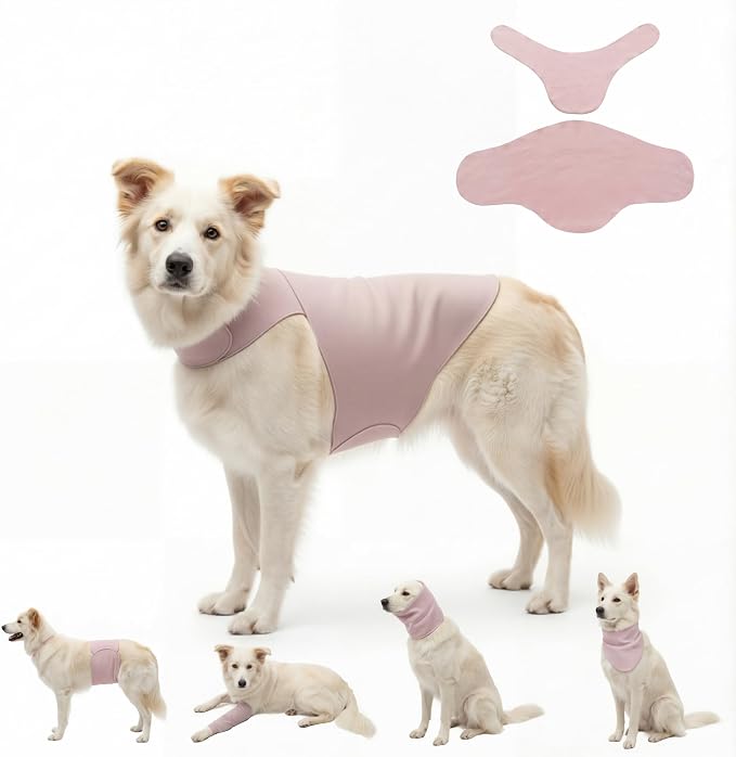 DAJIDALI® Dog & Cat Anxiety Vest & Spay Recovery Suit – Silent Adjustable Calming Wrap for Surgery & Thunderstorms – 2-Piece Cone & Recovery Onesie Alternative
