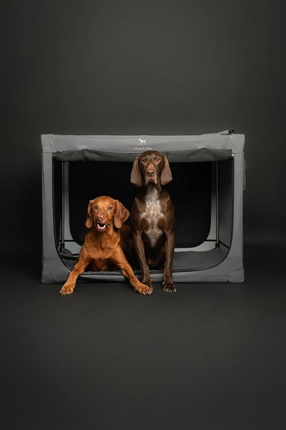 Noah & Paw Collapsible Dog Crate 30 Inches, Large Dog Crate for Large Medium Breeds, Travel Kennel for Car, Including Pet Mat for Pet Cage, 2 Storage Pockets, Handbag, 10mm Locking Zipper 30*21*21