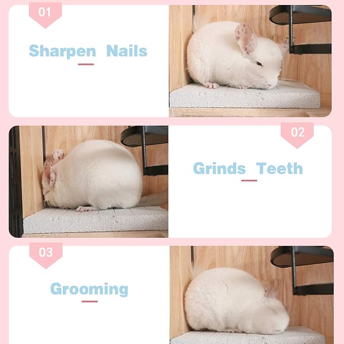 Hamiledyi Rabbit Scratch Foot Pads Bunny Grinding Claw Pad 2 PCS Natural Small Animal Hamster Lava Stone for Teeth Grinding Rabbit Scratching pad Chew Toy Rabbit Cage Mats Plastic Bunny Feet Pad Playp
