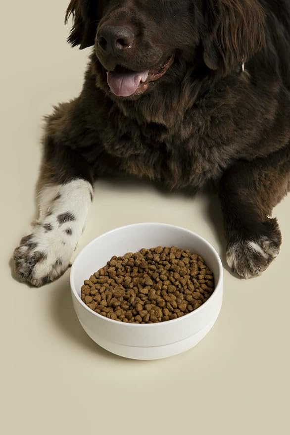 Waggo Ceramic Cling Dog Bowl with Rubber Bottom for Small and Large Breeds - Heavyweight Bowl with Anti-Skid Non Slip Rubber Bottom, Dishwasher Safe (Large, White)
