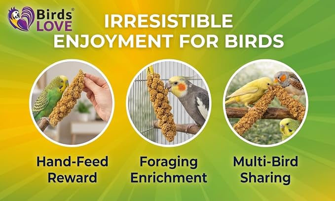 9 oz Spray Millet for Birds – GMO-Free, No Stems (Only Edible Tops) – 100% Natural Sun-Dried Foraging Treat for Cockatiels, Lovebirds, Parakeets, Finches & Canaries
