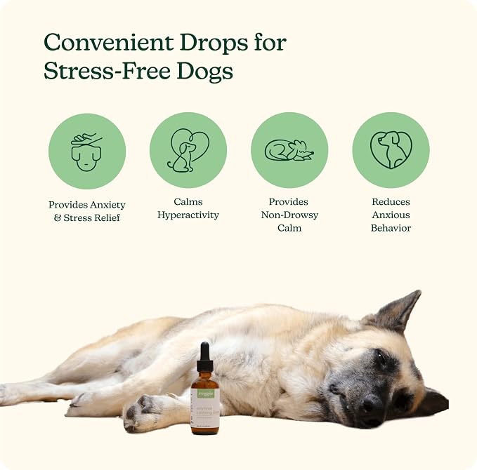 Reggie Anytime Calming Drops for Dogs | Fast-Acting Natural Anxiety Relief with L-Theanine, GABA & Chamomile | Dog Calming Tincture for Stress, Separation Anxiety, Thunderstorms & Travel | 2 fl oz
