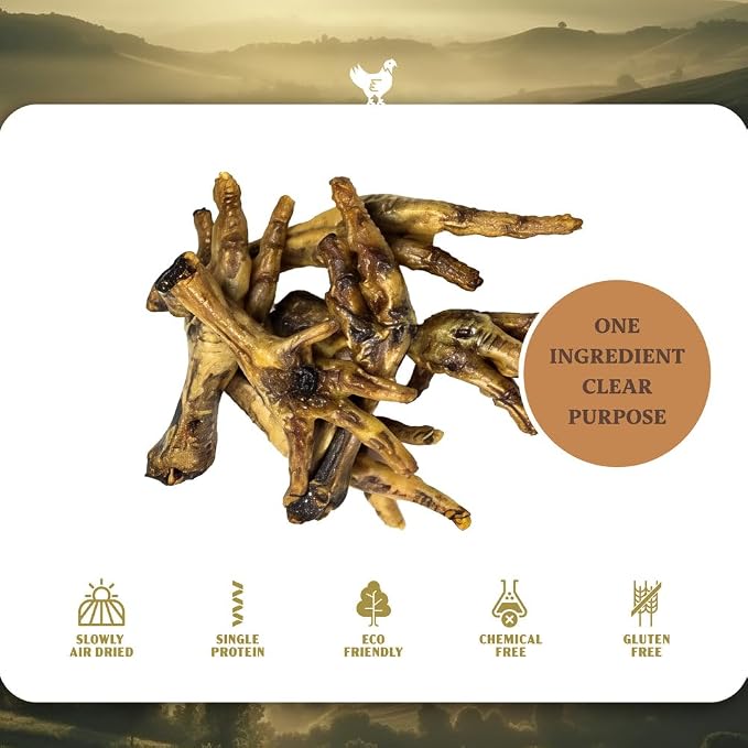 Chicken Feet Dog Treats, Dehydrated Chicken Feet for Dogs, Single Ingredient High Protein Chicken Chews, Crunchy Natural Dog Snacks for Small Medium Large Dogs, 4 lb 6 oz Bulk Bag