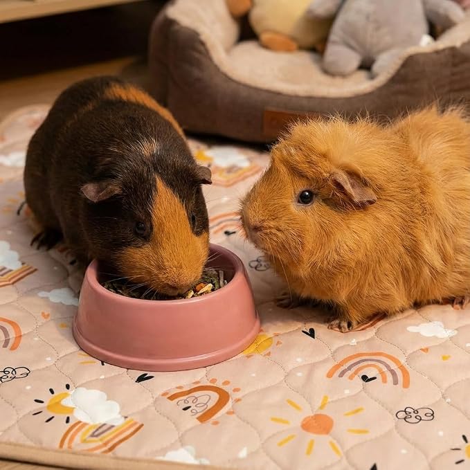 Guinea Pig Cage Liners, 59x31in 2 Pack Washable Guinea Pig Bedding, Waterproof Reusable & Anti Slip, Super Absorbent Guinea Pig Pee Pad for Small Animal, Rabbit, Bunny, Fit for C&C Cage, Pink