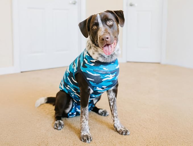 Suitical Recovery Suit Dog, Large, Blue Camouflage