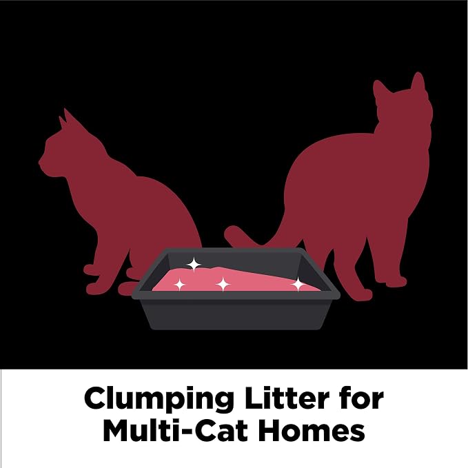 ARM & Hammer Clump & Seal Platinum Cat Litter, Multi-Cat Clumping Litter Forms Rock-Hard Clumps, Powerful Odor Eliminators with Baking Soda, 14-Day Odor Control, 18 lbs
