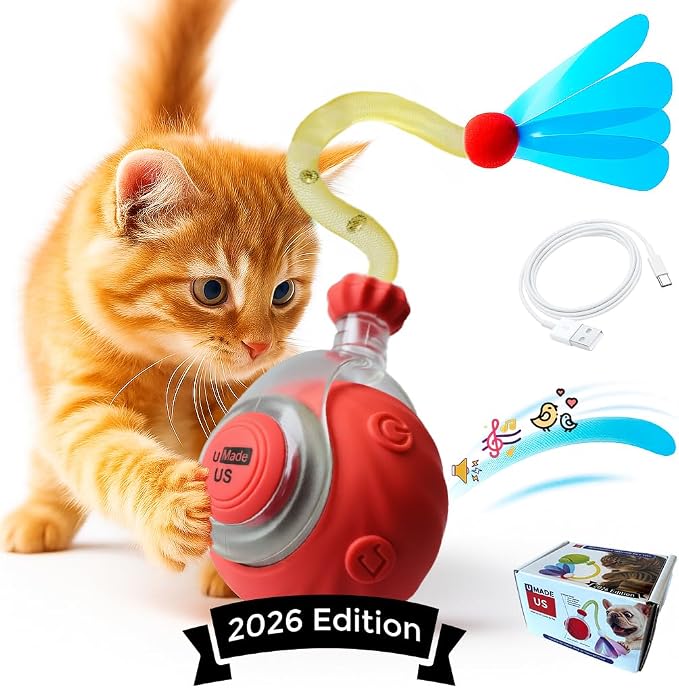 Cat Toys for Indoor Cats – 2X Automatic Kitten Interactive Toy with Speedy Ball Tail as Pet Mental Stimulation - 2-Set Bundle - 2026 Edition (Random Color)