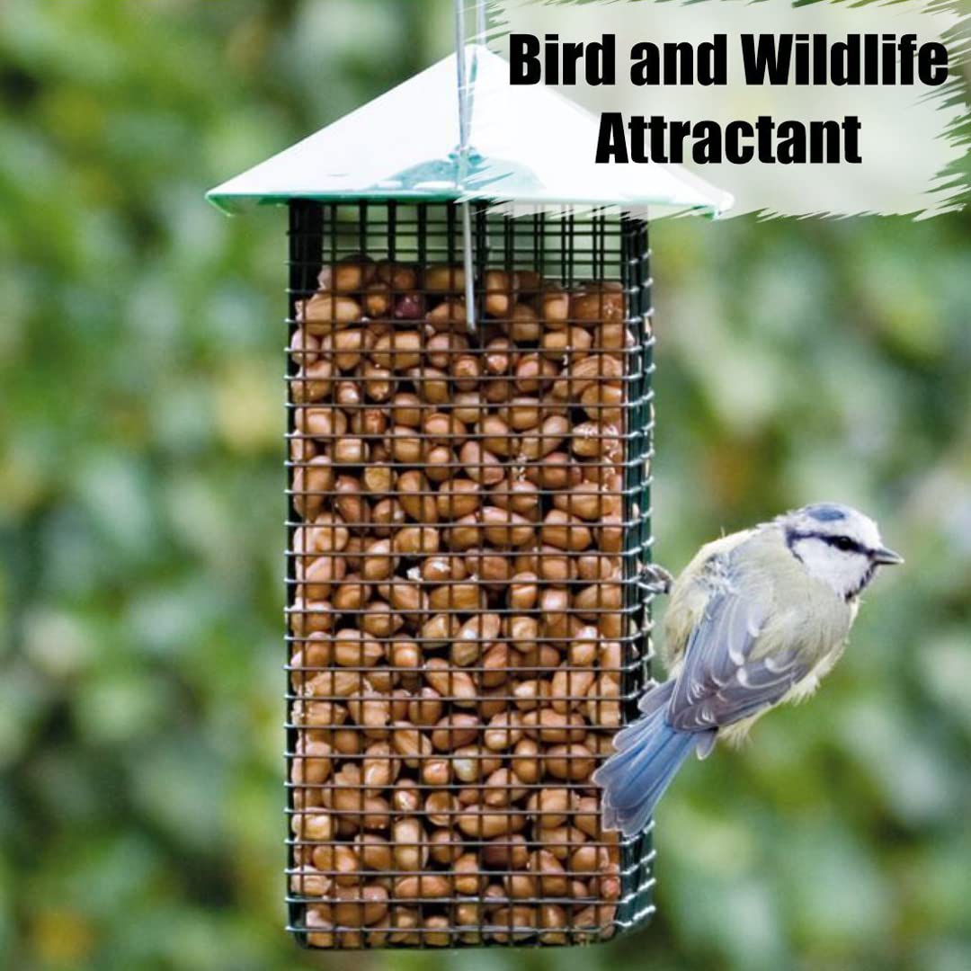 Old Potters Wildlife Shelled Peanuts, 10 lbs for Birds, Squirrels, and Wildlife. USA Grown Non-GMO, Organic Small Farm, Raw Shelled Peanuts. Wildlife Grade.