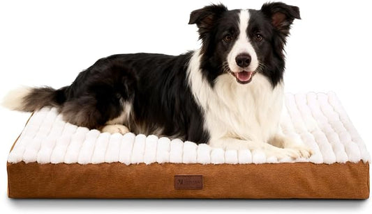 Orthopedic Dog Bed with Firm High-Density Egg Crate Foam,Soft Short Plush Surface Pet Beds,Machine Washable with Removable Cover & Non-Slip Bottom for Medium & Large Breeds (Brown, 35"L x 22"W x 3"H)