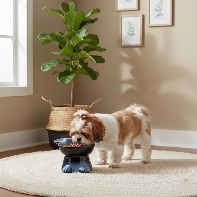 Nihow Elevated Ceramic Dog Bowl: 6.5 Inch Raised Small Dog Bowl for Food & Water - Food Safe, Protects Pet's Spine (1 PC)