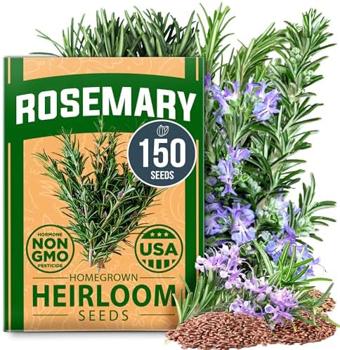HOME GROWN 12,000+ Wheatgrass Seeds Bulk Pack & 𝗨𝗦𝗔 𝗣𝗥𝗘𝗠𝗜𝗨𝗠 Rosemary Seeds Pack - 150 & Thai Basil Seeds Pack - 438