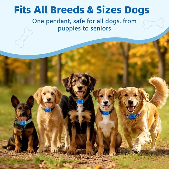 Natural Flea and Tick Prevention Pendant for Dogs Flea and Tick Collar, Waterproof Flea and Tick Repellent Dog Tag Safe for All Breeds & Sizes with 2 Silicone Buckles & 4 Refills, Collar NOT Included