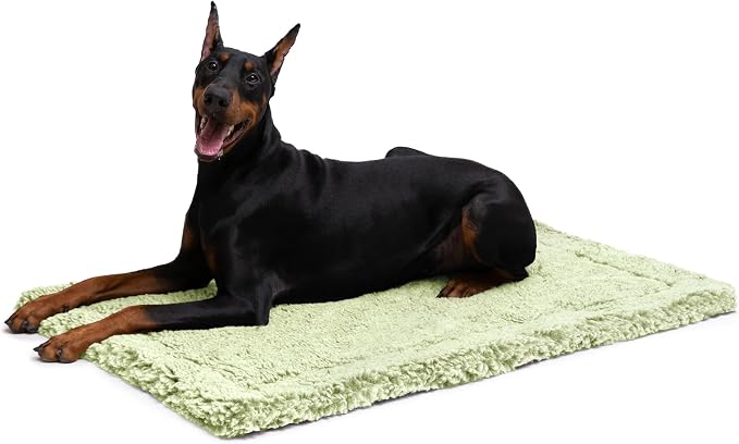 PELZIN Stoutwool Indestructible Dog Bed - Fluffy Chew Proof Dog Crate Pad - Tough Kennel Pad for Aggressive Chewers - Washable, Ideal for Large Breeds & Fits 42-Inch Crate - 41"x27", Gleam