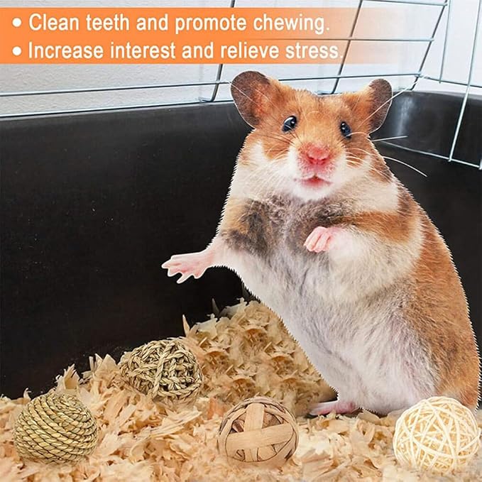 FOMIYES Small Animals Play Balls: Rabbit Chew Toys - Rolling Activity Guinea Pigs Chinchilla Bunny Natural Teething Balls