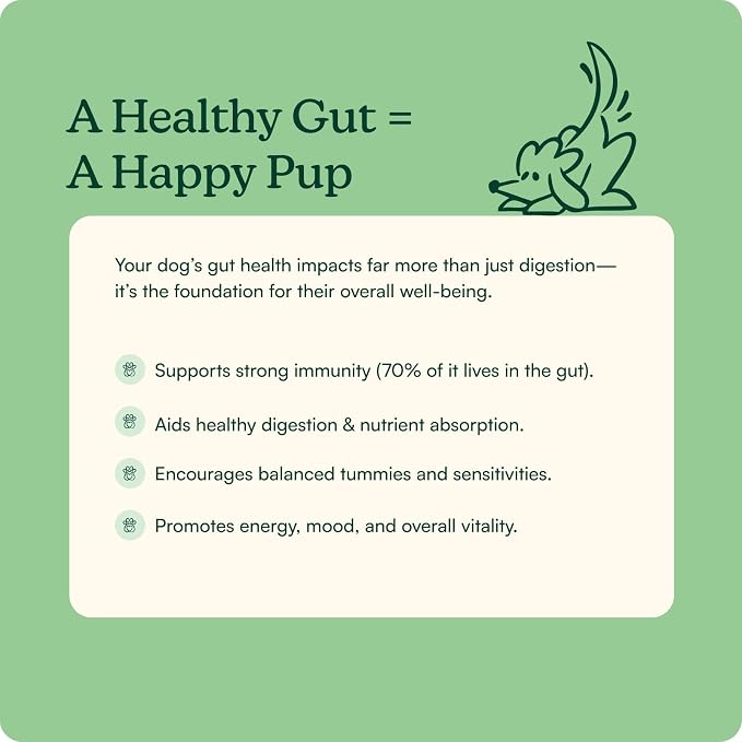 Reggie Pumpkin Probiotic Powder for Dogs | 7-Strain Probiotics + Pumpkin for Gut Health, Digestion & Stool Consistency | Natural Dog Digestive Supplement | Vet-Approved & Made in USA | 40 Scoops