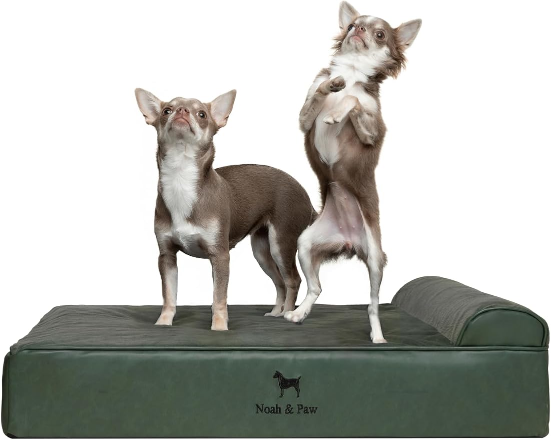 NOAH & PAW Dog Bed, 28x23x7.5 Inch, Orthopedic Dog Beds for Medium Size Pets, Eggshell Memory Foam Infused with Cooling Gel, Water Resistant, Machine Washable, Includes Inner Cover (Faux Leather)
