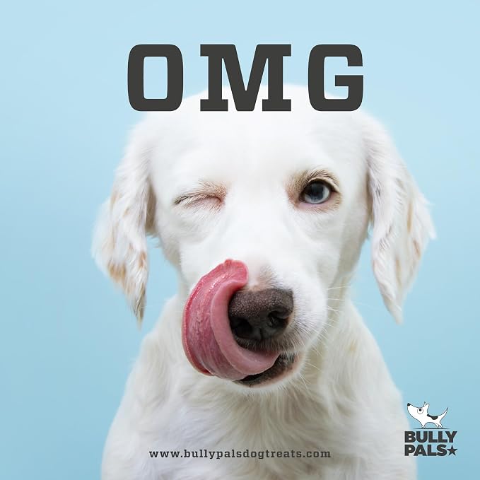 12 inch Thick Bully Sticks for Medium & Large Dogs (10 Pack) - Long Lasting Dog Bones & Dental Chews, Durable Pizzle Sticks, Easily Digestible, Rawhide Free Beef Dog Treats