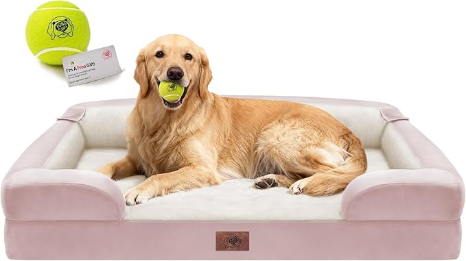 Orthopedic Memory Foam Dog Bed, 42x30, Waterproof for Large Dogs | Removable washable cover. Egg crate foam for joint relief. Non-slip base. Tennis ball toy included. For extra large breeds.