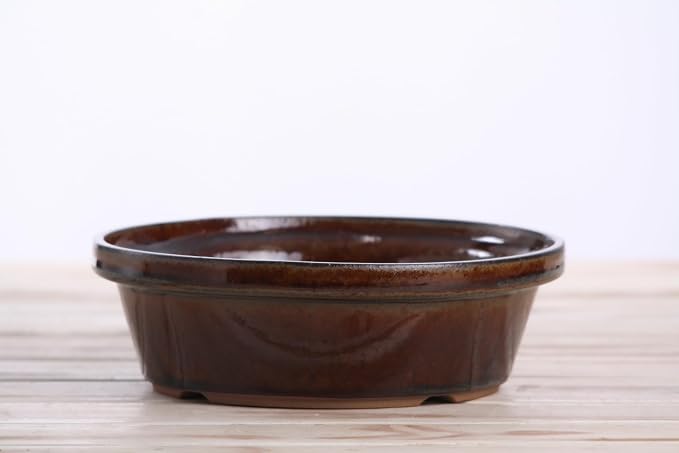 Willow Ceramics Dog Bowl – Handmade Ceramic Slow Feeder, 20.2oz Anti‑Gulp Bowl for Medium Dogs, Dishwasher Safe, Made in USA (Dark Honey, 7inch)