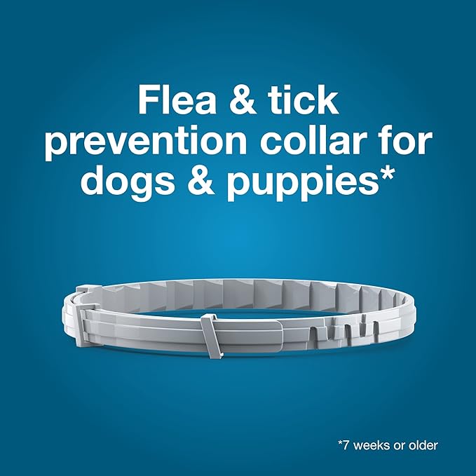 Seresto Flea & Tick Collar for Dogs Over 18 lbs., Treatment & Prevention, Vet-Recommend, 8 Month Protection (Pack of 2)