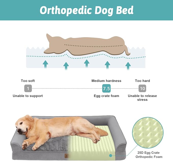 COZY KISS Orthopedic Dog Bed for Extra Large Dog, XL Pet Sofa, Bolster Foam Bed with Sides, Non-Slip and Egg-Crate Big Dog Couch Bed with Washable Removable Cover, U-Shaped, 42x30x7.5 inch, Grey