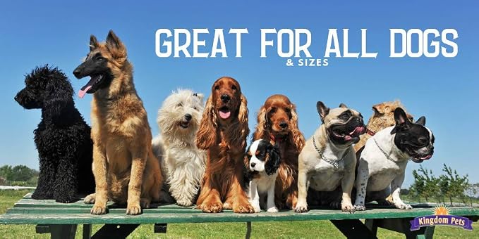 Filler Free Chicken Jerky & Rawhide Wraps, Premium Treats for Dogs, 32-ounce bag