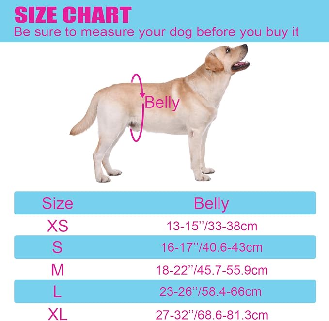 Dog Panties for Dogs in Heat, Reusable Female Dog Pants to Prevent Cross-Tailing. Washable Dog Underwear to Protect Female Dogs from Male Dogs (XL, Black)
