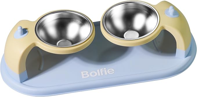 Elevated Stainless Steel Pet Bowls for Cats, 2-in-1 Food and Water Feeder with Non-Slip Base, with Spill-Proof Mat for Small Pets