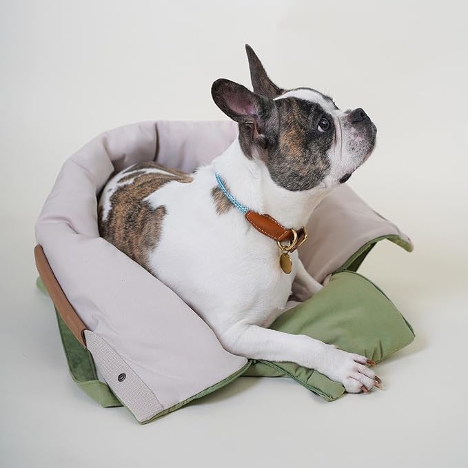 HOWLPOT Day Bag Pet Carrier Dog Puppy Portable Foldable Shoulder Cross Bag Travel Storage Pockets Made in Korea Basil Color (Large)