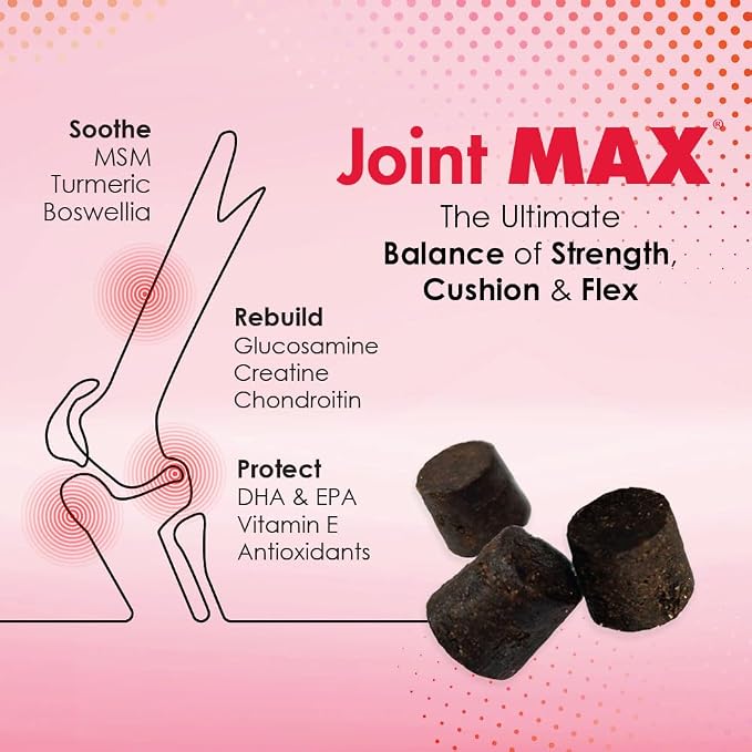 TS Joint Supplement Vet Formulated Pain & Inflammation Relief Treats Hip Dysplasia & Arthritis.Glucosamine, Chondroitin, Turmeric, MSM, HA, Creatine, Omega 3 EPA+DHA. All Dogs 240 Soft Chews