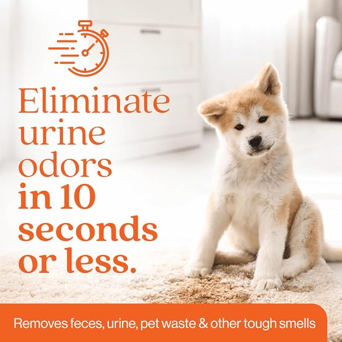 Orange Odor Eliminator | Pet Odor Deodorizer for Strong Odor | Enzyme Stain Cleaner for Cats, Dogs, and Pets | Great for Carpets, Furniture, Dog Kennels, and More (32 Fl Oz)