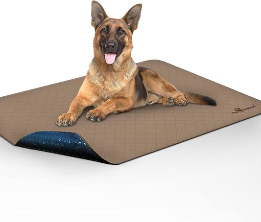Paw Inspired Washable Pee Pads for Dogs, Leakproof, Non-Slip Reusable Puppy Pads for Potty Training, Whelping, Waterproof Mat (48x60 Inch, Pack of 1)