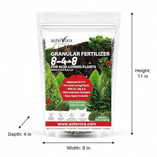 GARDENWISE Evergreen Fertilizer – All-Purpose Granular Plant Food for Outdoor Trees and Shrubs, Azaleas, Magnolias, Pines & Arborvitae – Slow-Release Formula (5 quarts)
