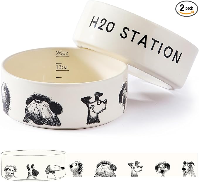 Ceramic Cute Dog Bowl Set of 2 for Small Medium Dogs, Heavy Non-Slip Stoneware Food and Water Bowls – 3.3 Cups, Microwave & Dishwasher Safe, Pet Feeding Set