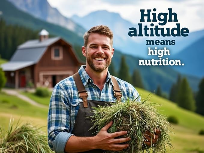 Blue Mountain Hay High Altitude Timothy Hay Pellets (40 lb), Ultra Premium Nutrient Dense Forage, Small Quick Soaking Low Dust Pellets, Easy to Measure, Automatic Feeder Friendly