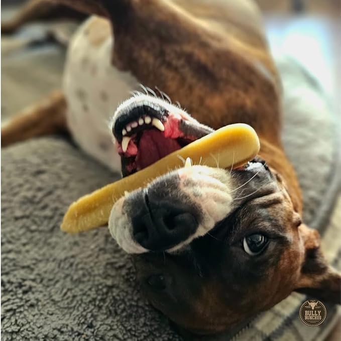 Bully Bunches Large Authentic Yak Cheese Himalayan Chews for Large Dogs & Heavy Chewers - All Natural Dog Treat Dental Chews, Made with Real Yak Milk - Lactose & Rawhide Free (2 Pk)