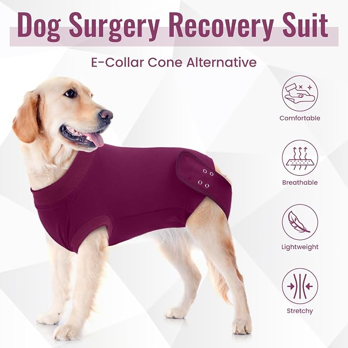 IDOMIK Dog Recovery Suit for Female Spay - Adjustable Anti-Licking Dog Post Surgery Onesie, Male Female Dogs Neuter Spay Suits, Soft Abdominal Wound Bandage & E-Collar Cone Alternative