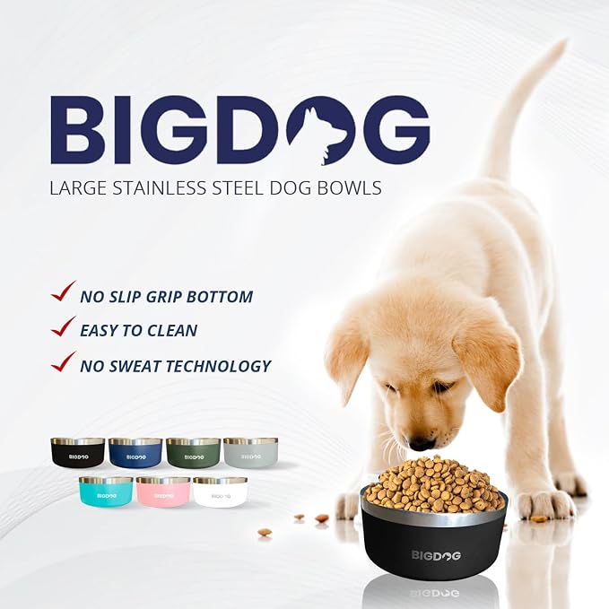 Black Bigdog Dog Bowl