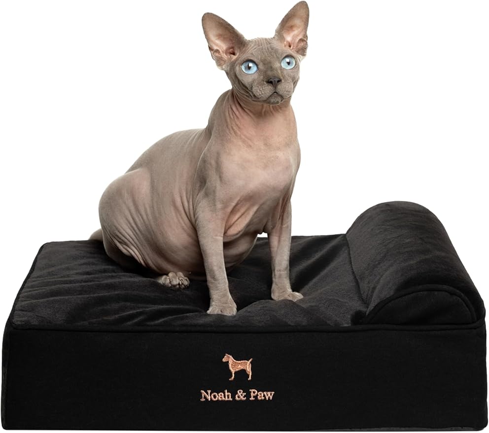 NOAH & PAW Small Dog Bed, 20x15x6.5 Inch, Cat Bed for Indoor Cats, Orthopedic Eggshell Memory Foam Infused with Cooling Gel, Water Resistant, Machine Washable, Includes Inner Cover (Denim Collection)