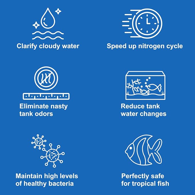 EcoBio-Block Natural Volcanic Rock for Aquarium Water Clarity & Balance — Low-Maintenance Alternative to Weekly Additives — for Freshwater Fish, Turtles, Shrimp & Frogs (Medium, 15-40 gal)
