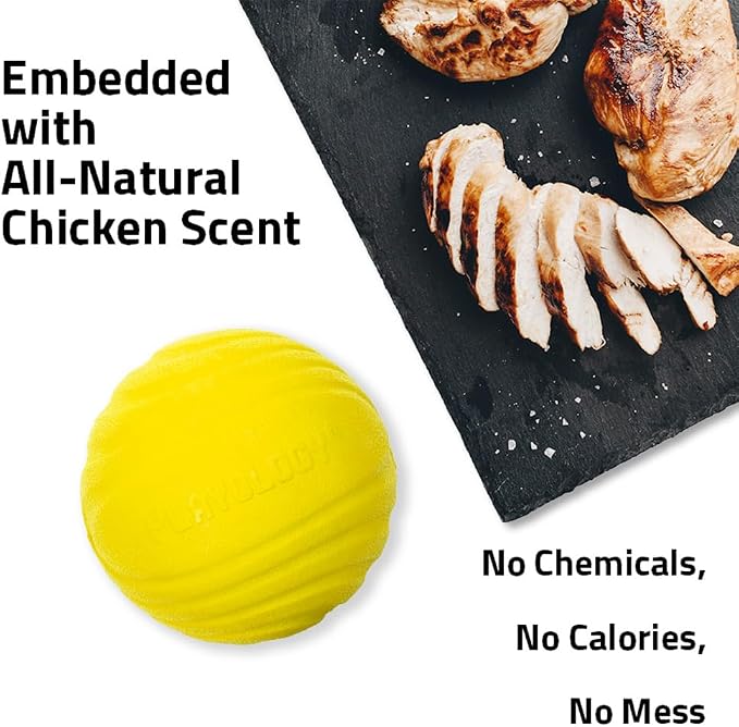 Playology Dog Toys | Dual Layer Ball Durable Chew Toy for Tough Chewers | Chicken Scented Jumbo Dog Toy | Chew Toys for Large Dogs