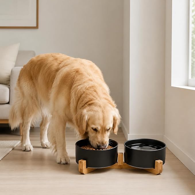 Petygooing Dog Bowls,Black Ceramic Cat Dog Bowl Set with Wood Stand for Pet Food and Water,Non-Slip Cute Modern Pet Dish Set for Cats Small and Medium Dogs (28OZ/6.1 in)
